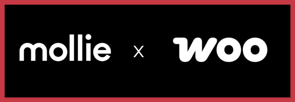 10 Best Payment Processing Plugins for Woocommerce 9 image 19