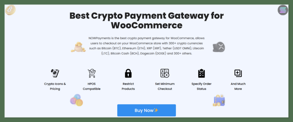 10 Best Payment Processing Plugins for Woocommerce 10 image 20