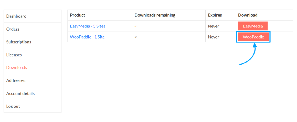 How to Integrate Paddle for WordPress: The Fastest Method 4 Downloading Paddle for WordPress plugin